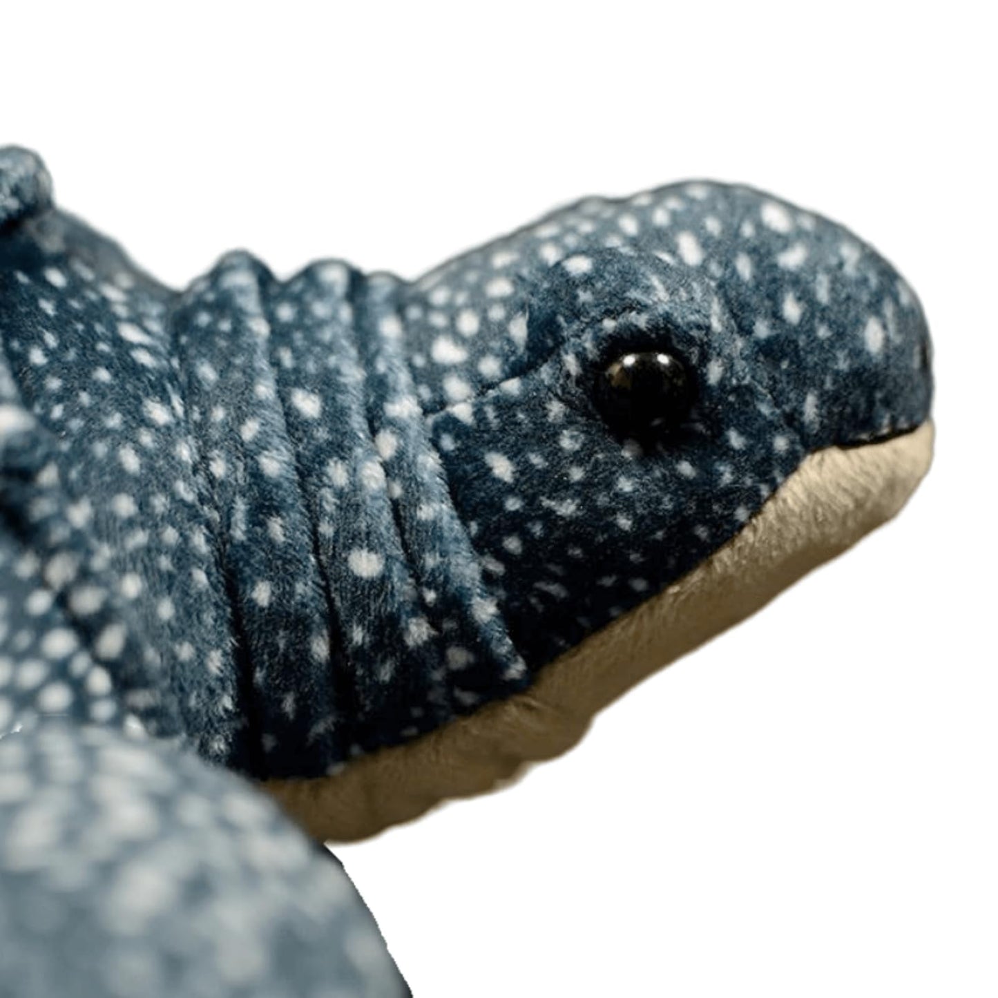Realistic Leatherback Turtle Plush-12”, Lifelike Seaturtle Stuffed Animal, Soft Turtle Plush Toy,Stuffed Toy,Turtle Gifts,Gifts for Kids,Baby Gift,Cute Plush,Home Decor