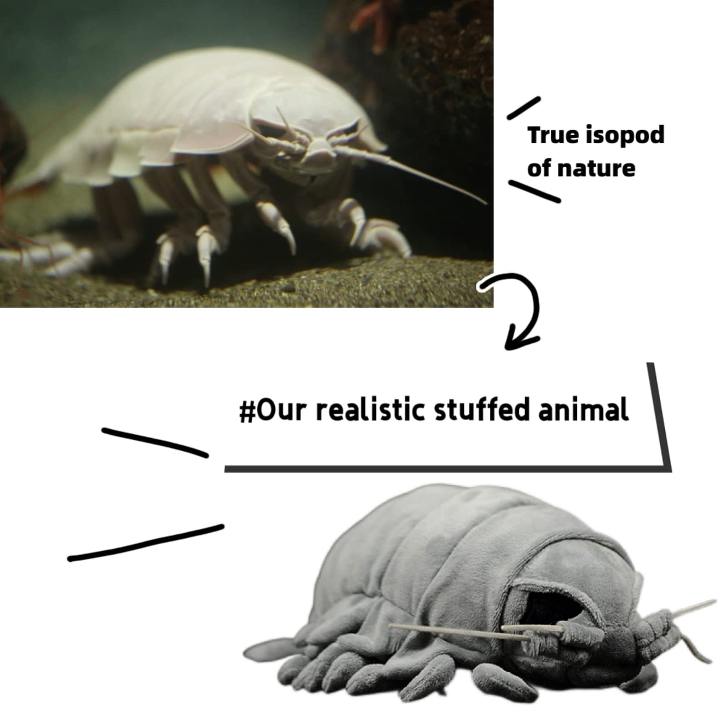 Giant Isopod Plush,Stuffed Animal-Grey 12",Isopod Toy, Arthropods Stuffed Animal,Girl Toys,Gifts for Kids