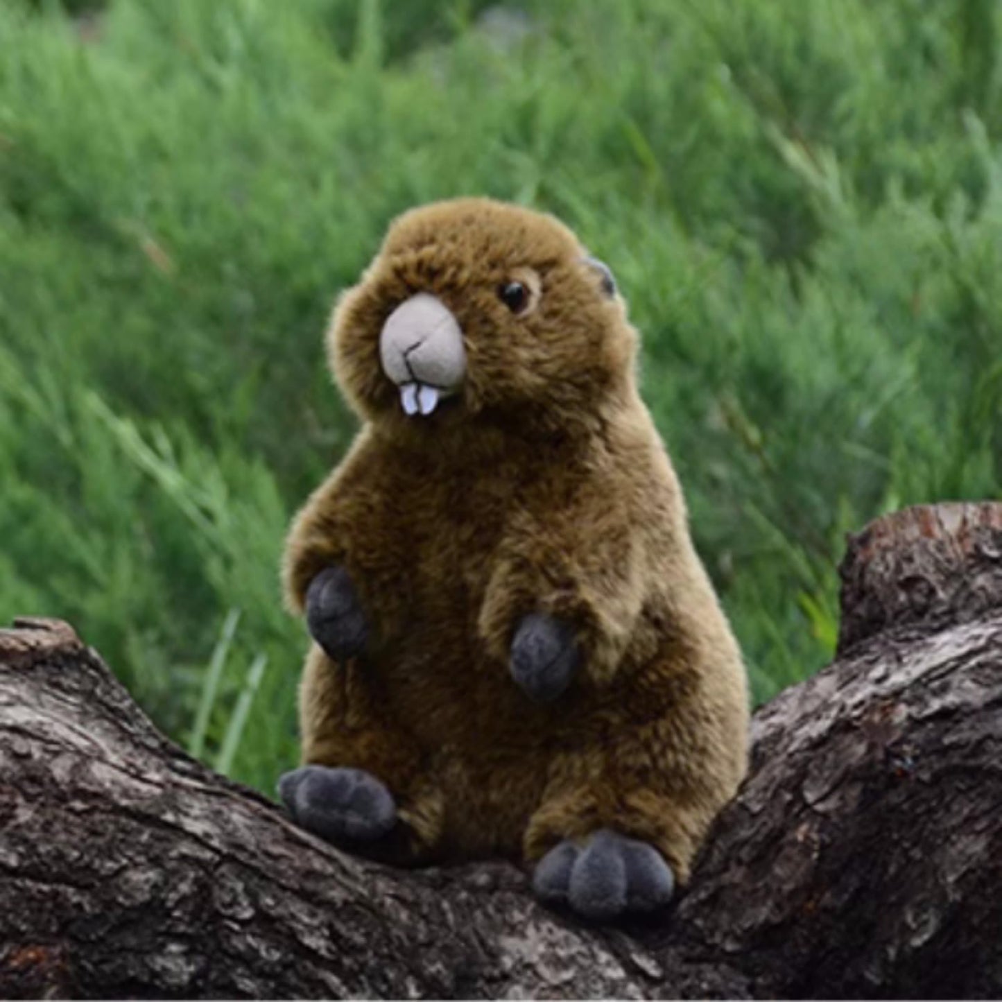 Realistic Groundhog Stuffed Animal-Brown 9In,Soft Toy for Boys Girl Toys,Gifts for Kids, Home Decor,Hugging Toy