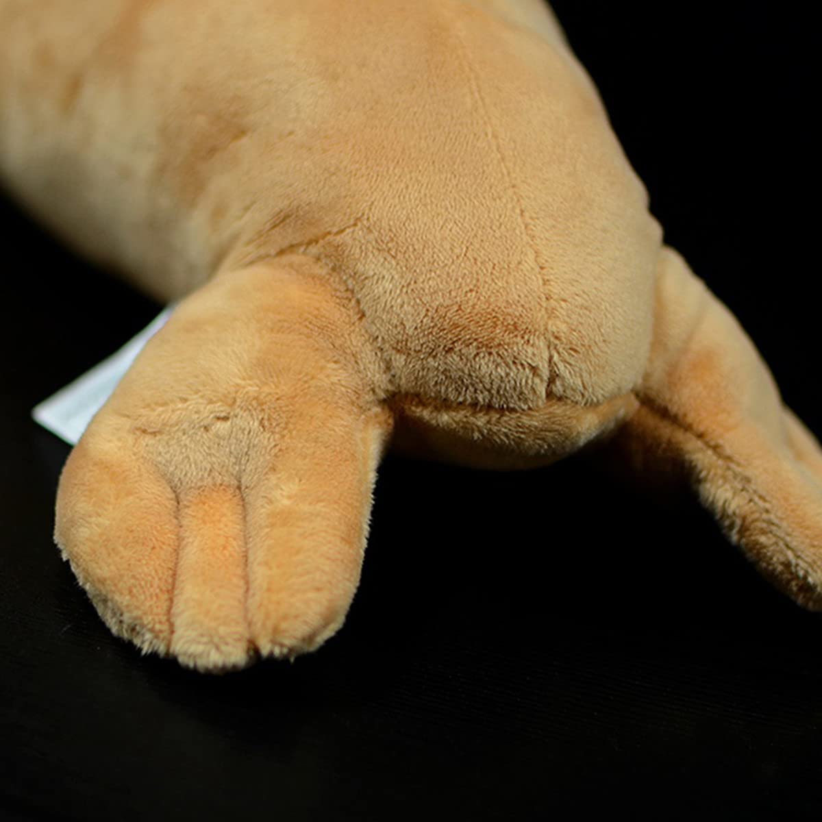 Lifelike Walrus Plush Toys-12 Long,Simulation Huggable Sea Animals Walruses Toys Gifts for Kids,Home Decor