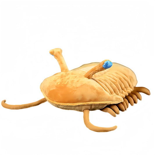 Simulated Trilobite Stuffed Animal, Lifelike 11.8" Ancient Creature Plush Toy, Soft Girls Toy, Children's Gifts