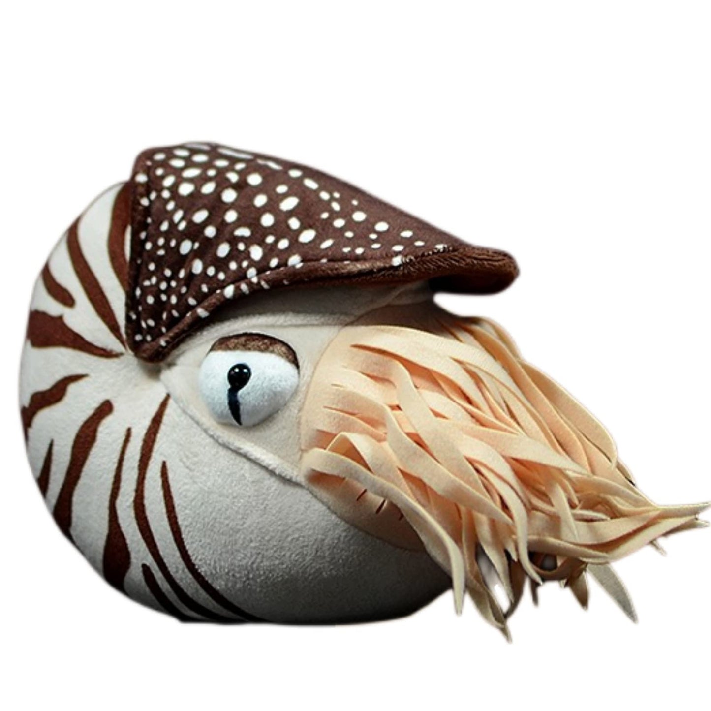 Simulation Nautilus Plush,Stuffed Animal,Plush Toy,Soft Toy,Stuffed Toy,Cuddly Toys,Gifts for Kids,8 Inches