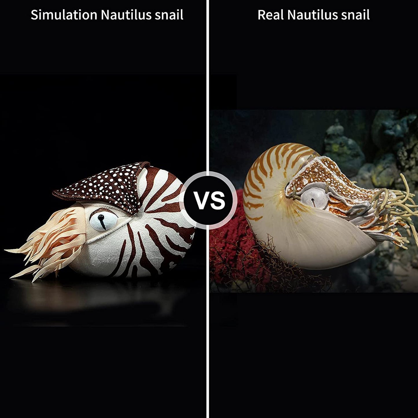 Simulation Nautilus Plush,Stuffed Animal,Plush Toy,Soft Toy,Stuffed Toy,Cuddly Toys,Gifts for Kids,8 Inches