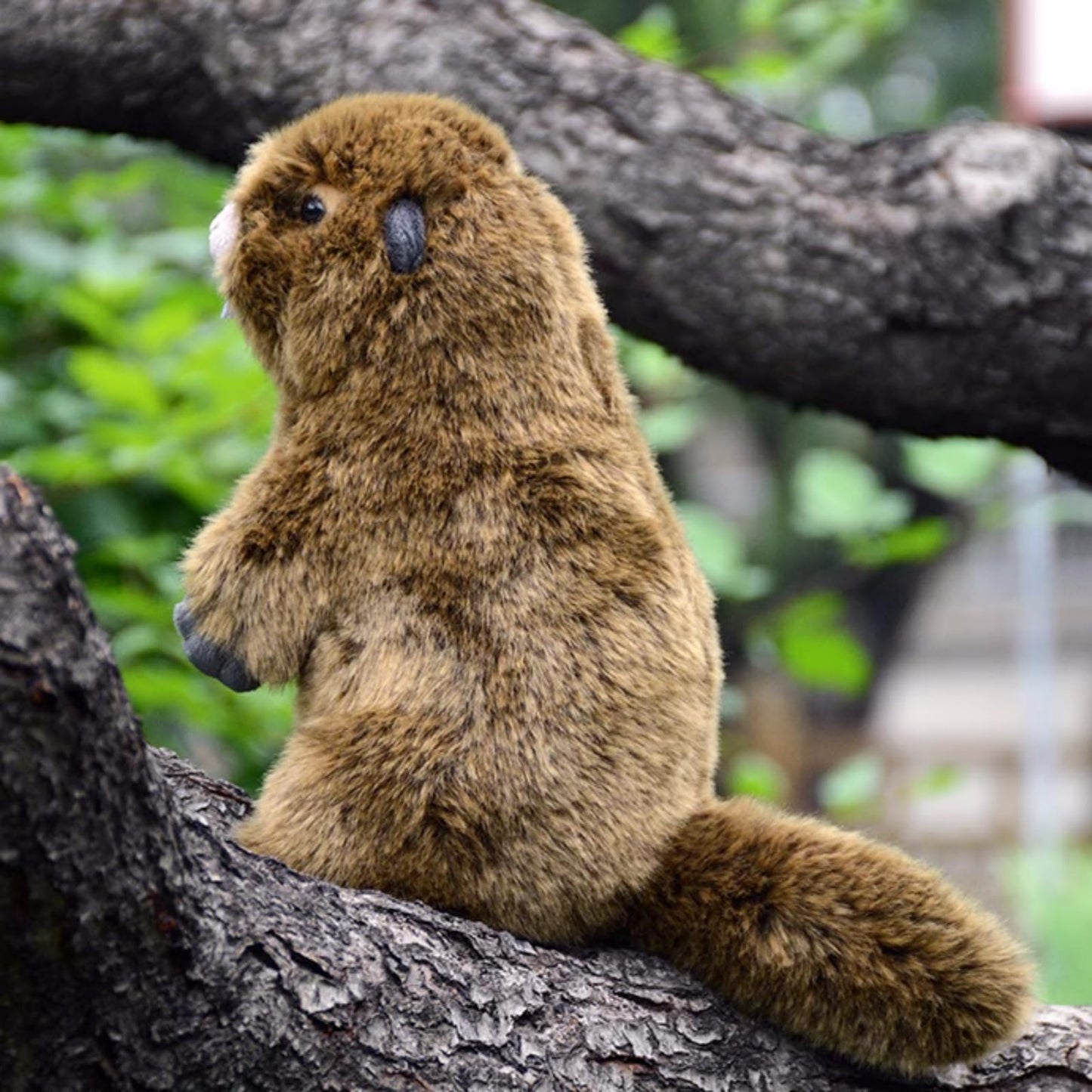 Realistic Groundhog Stuffed Animal-Brown 9In,Soft Toy for Boys Girl Toys,Gifts for Kids, Home Decor,Hugging Toy