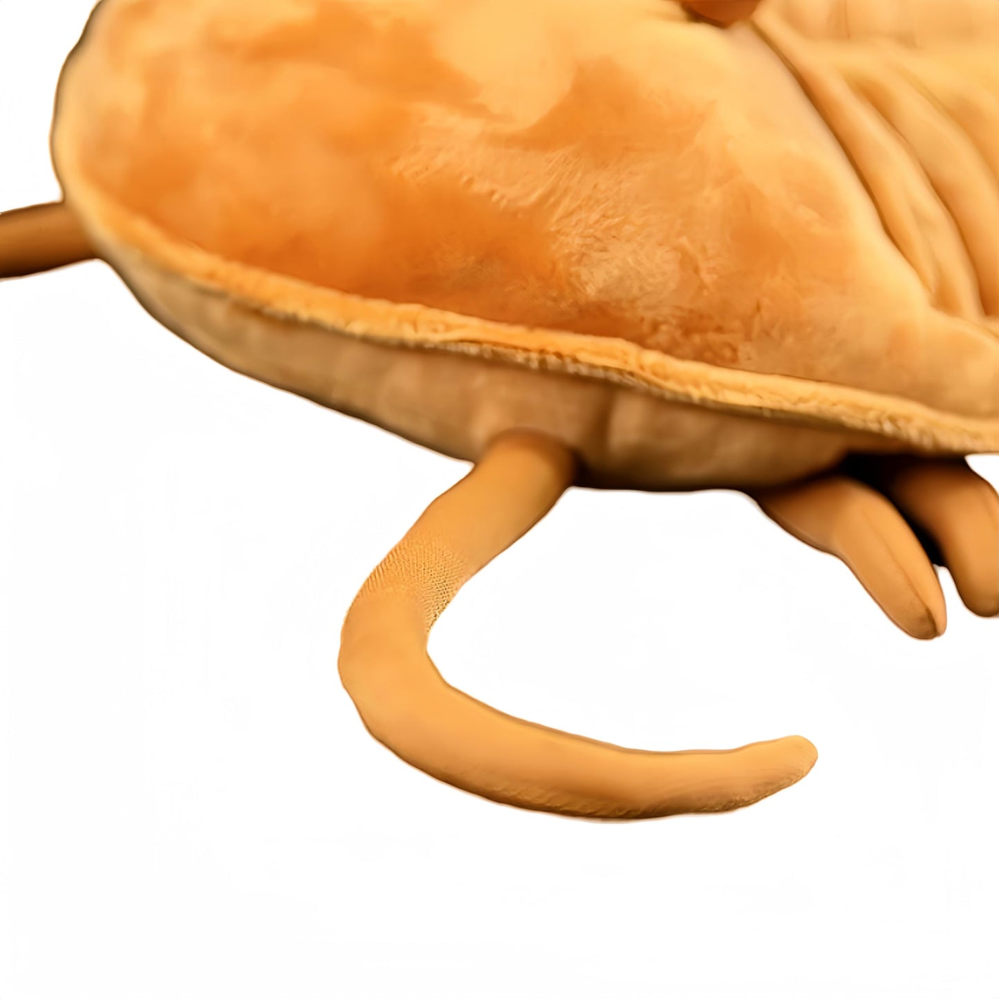 Simulated Trilobite Stuffed Animal, Lifelike 11.8" Ancient Creature Plush Toy, Soft Girls Toy, Children's Gifts