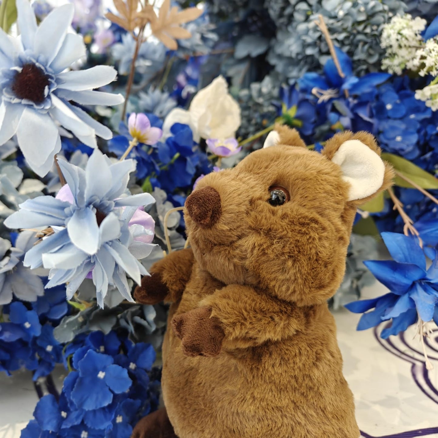 Realistic Quokka Stuffed Animal- Brown11.8,Soft Kawaii Plush Toy for Kids,Girl Toys,Gifts for Kids,Home Decor,Hugging Toy