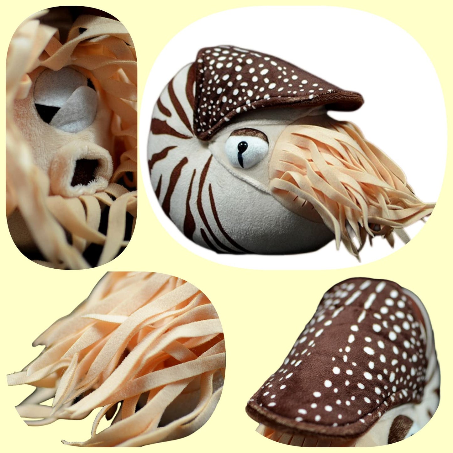 Simulation Nautilus Plush,Stuffed Animal,Plush Toy,Soft Toy,Stuffed Toy,Cuddly Toys,Gifts for Kids,8 Inches