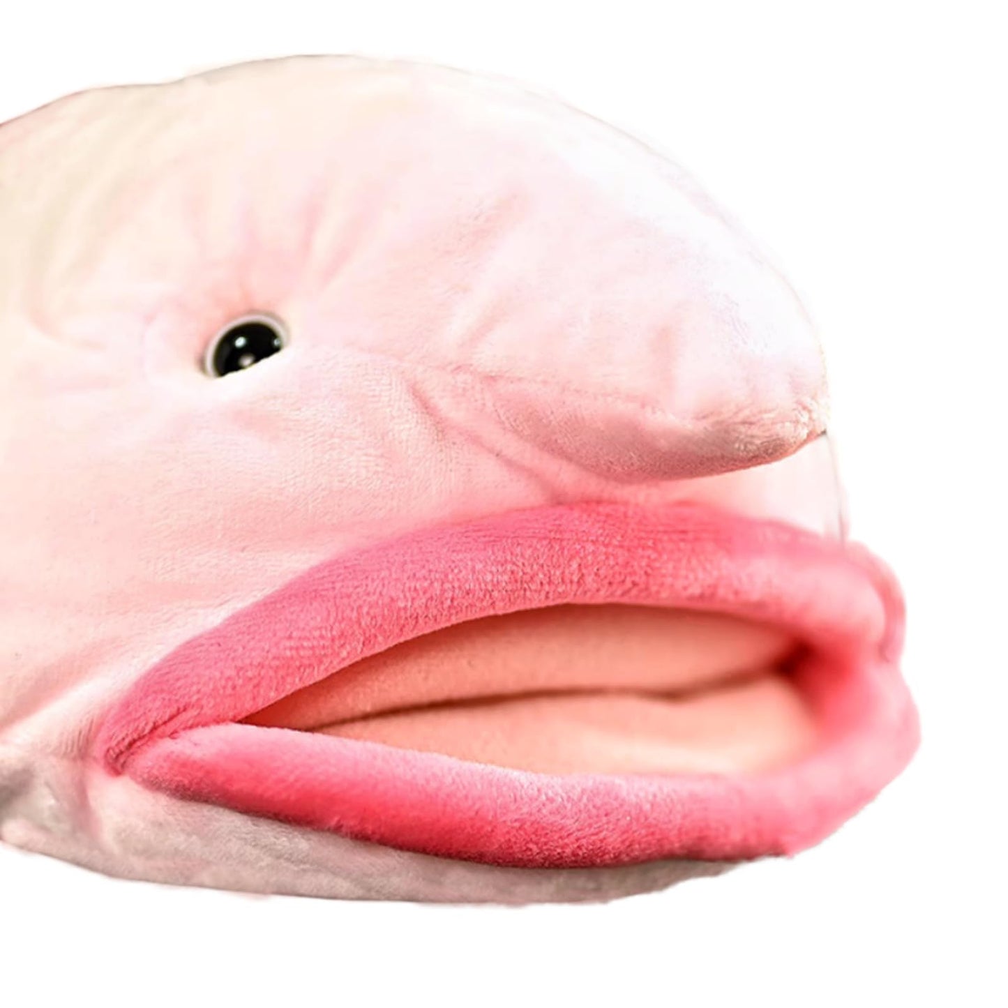 Realistic Blobfish Stuffed Animal- 13In,Blobfish Plush Toy Soft Toy,Girl Toys,Gifts for Kids, Home Decor,Hugging Toy