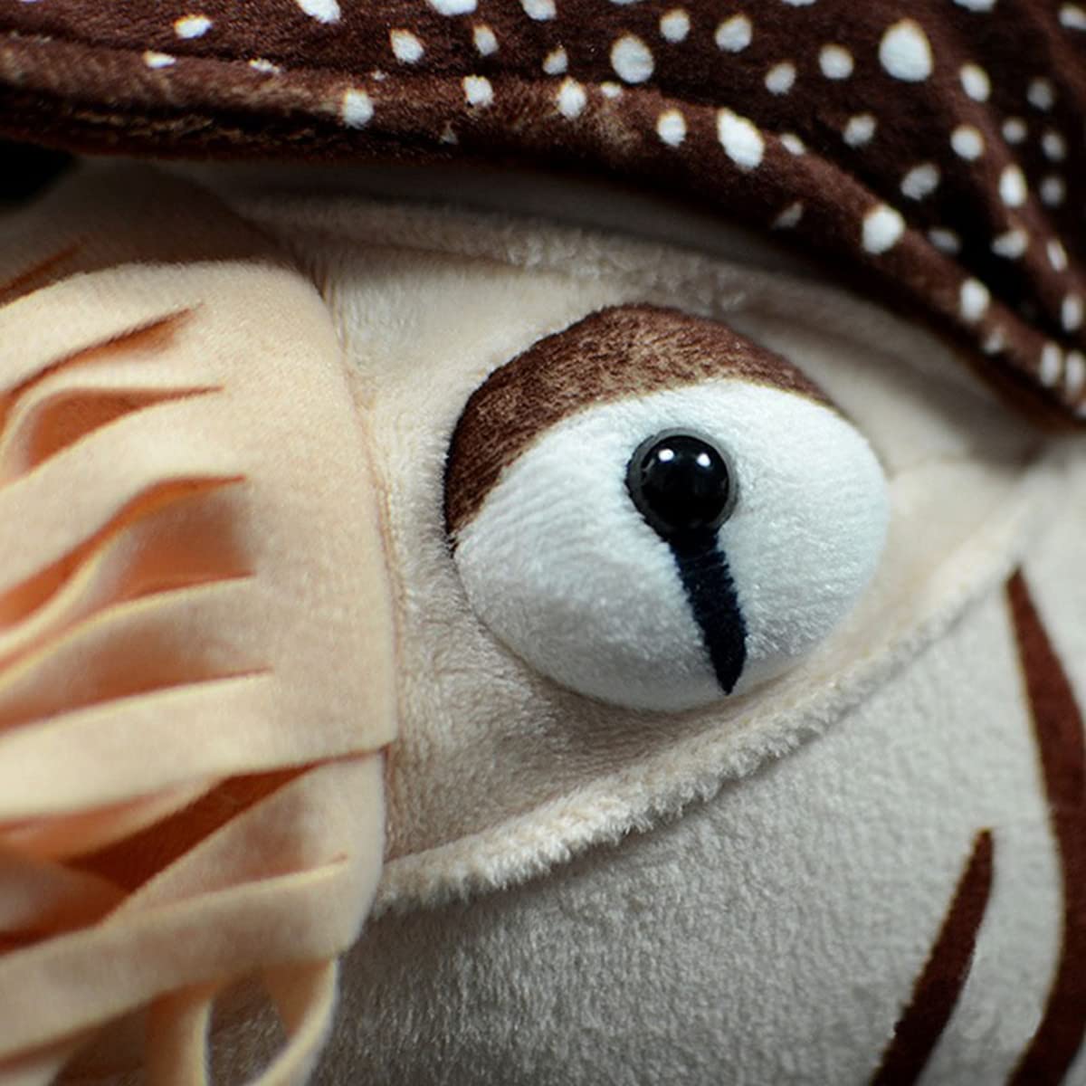 Simulation Nautilus Plush,Stuffed Animal,Plush Toy,Soft Toy,Stuffed Toy,Cuddly Toys,Gifts for Kids,8 Inches