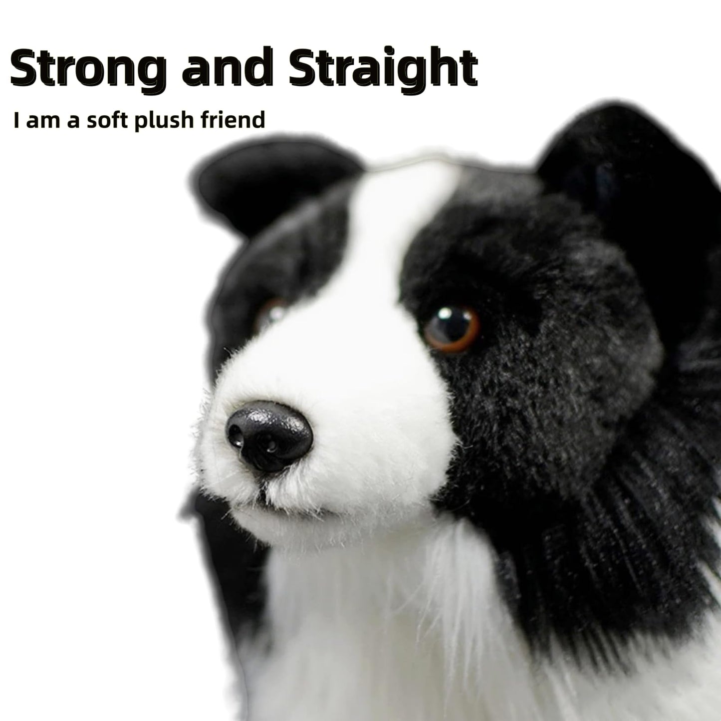 Realistic Border Collie Stuffed Animal-12in,Dog Plush,Soft Toy for Kids, Home Decor,Hugging Toy